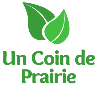 Un Coin de Prairie